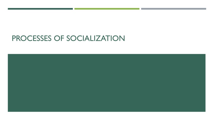 processes of socialization