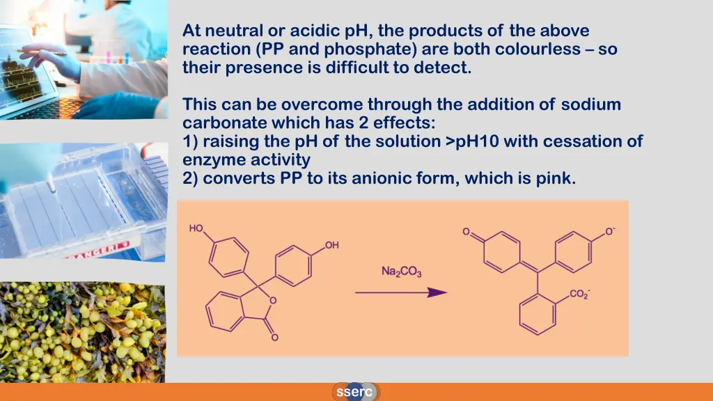 at neutral or acidic ph the products of the above