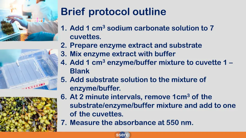 brief protocol outline