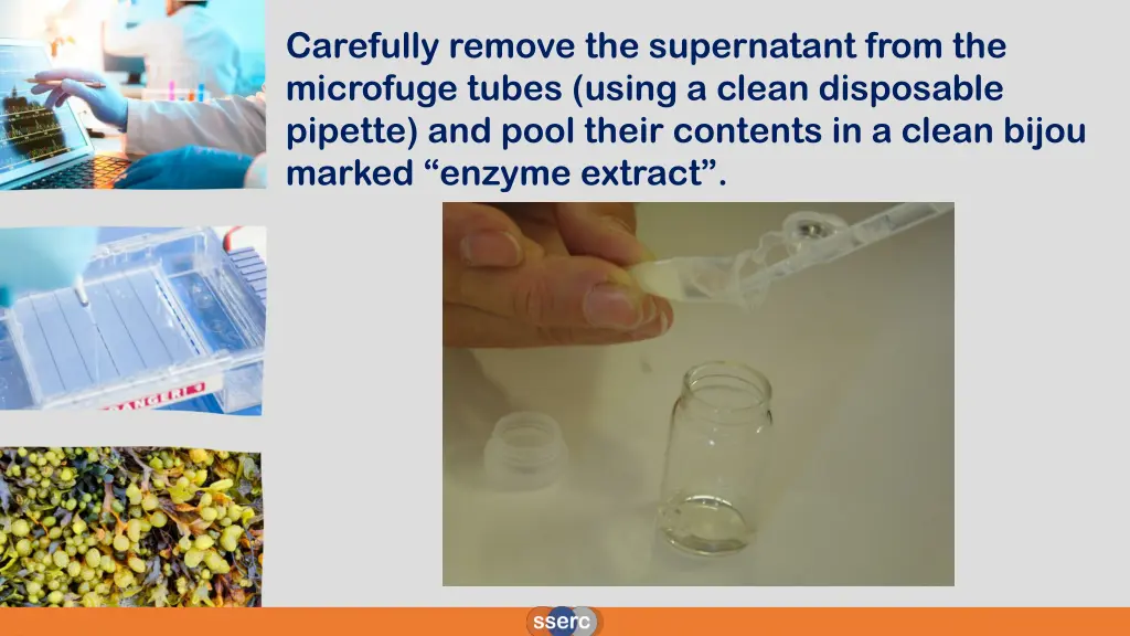 carefully remove the supernatant from