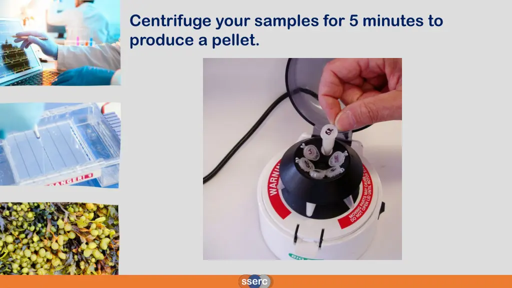 centrifuge your samples for 5 minutes to produce