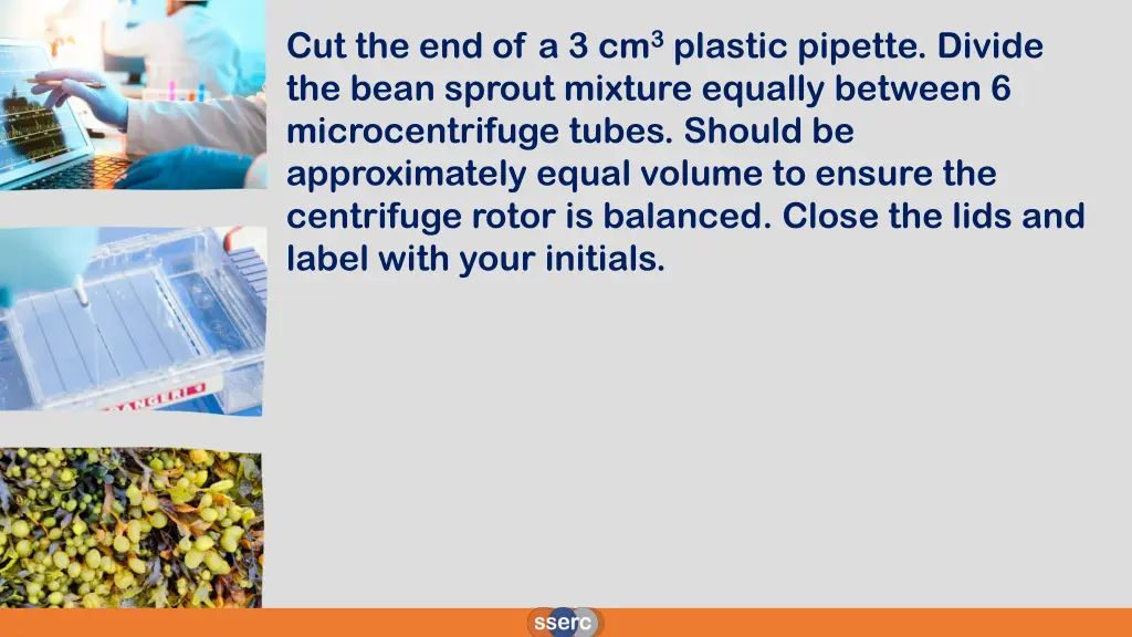 cut the end of a 3 cm 3 plastic pipette divide