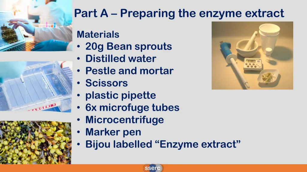 part a preparing the enzyme extract