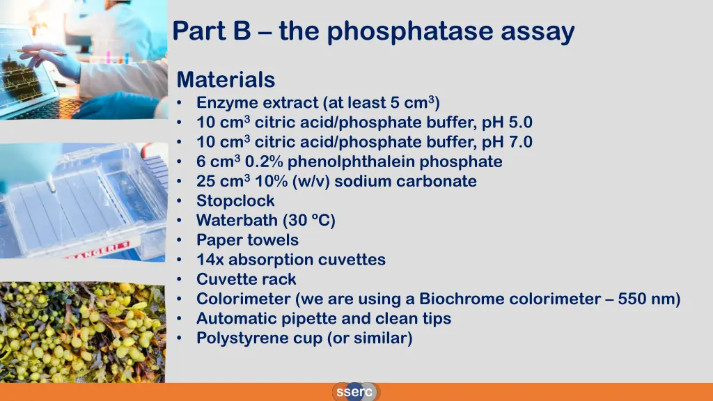 part b the phosphatase assay