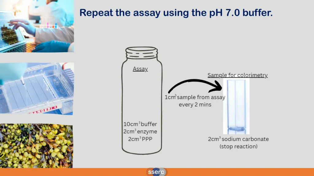 repeat the assay using the ph 7 0 buffer