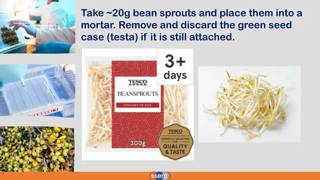 take 20g bean sprouts and place them into