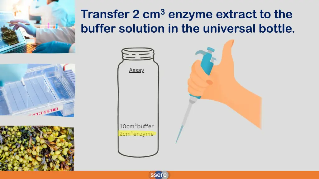 transfer 2 cm 3 enzyme extract to the buffer