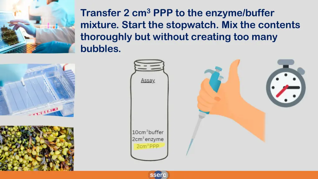 transfer 2 cm 3 ppp to the enzyme buffer mixture