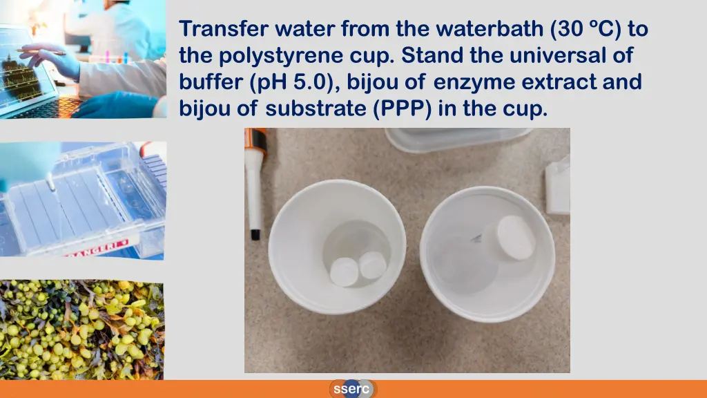 transfer water from the waterbath