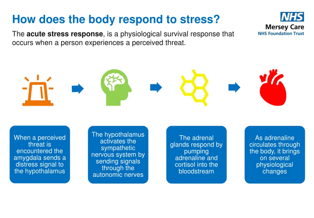 how does the body respond to stress