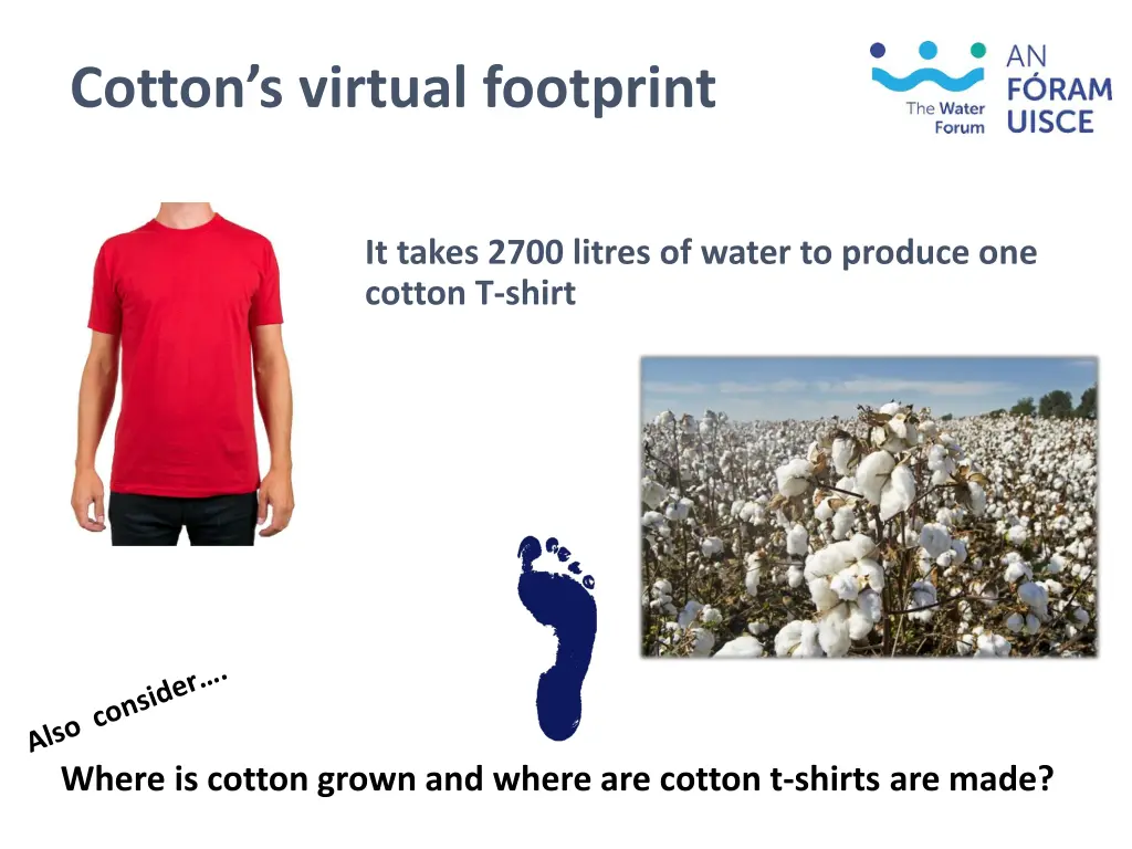 cotton s virtual footprint