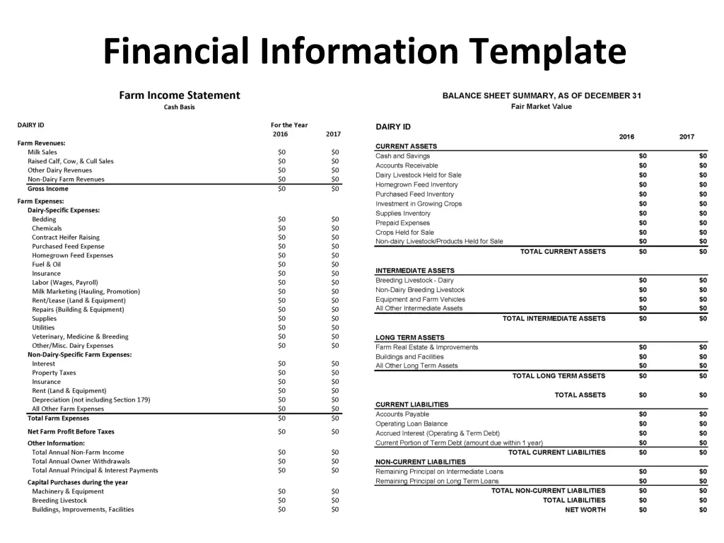 financial information template