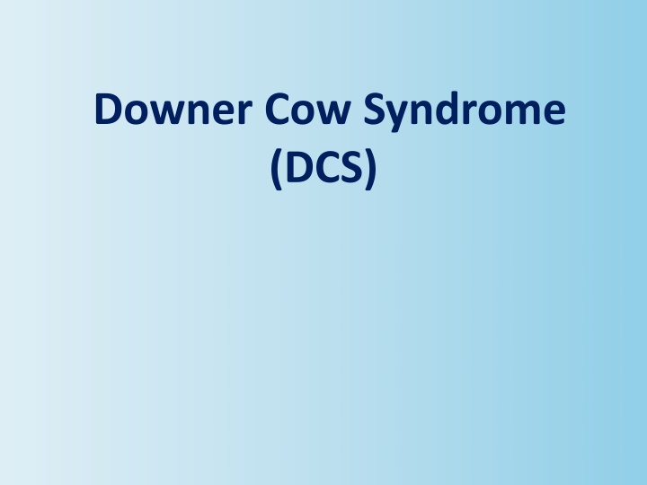 downer cow syndrome dcs