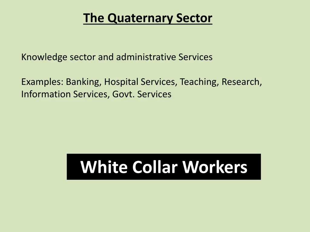 the quaternary sector