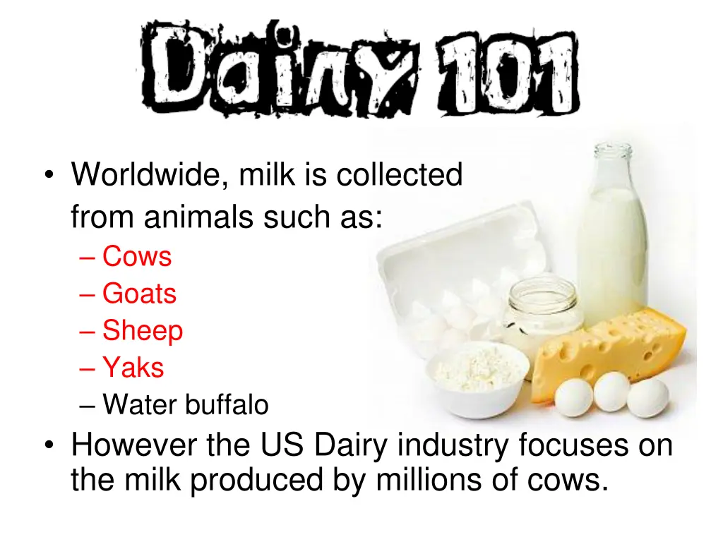 worldwide milk is collected from animals such