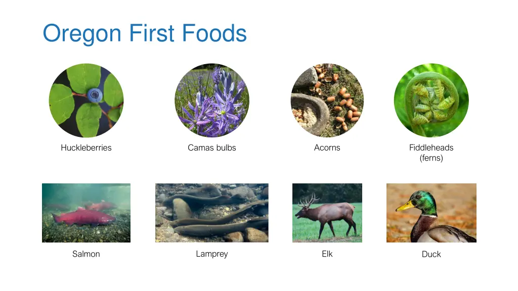 oregon first foods