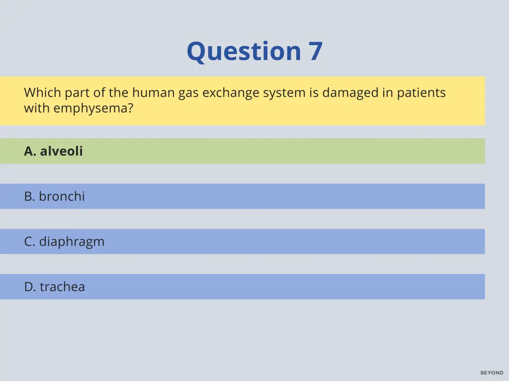 question 7