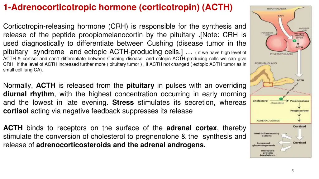 1 adrenocorticotropic hormone corticotropin acth