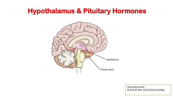 hypothalamus pituitary hormones hypothalamus