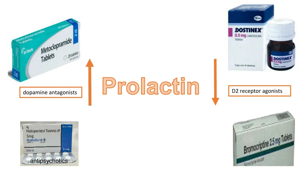 prolactin