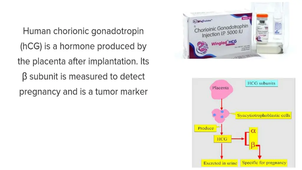 slide15