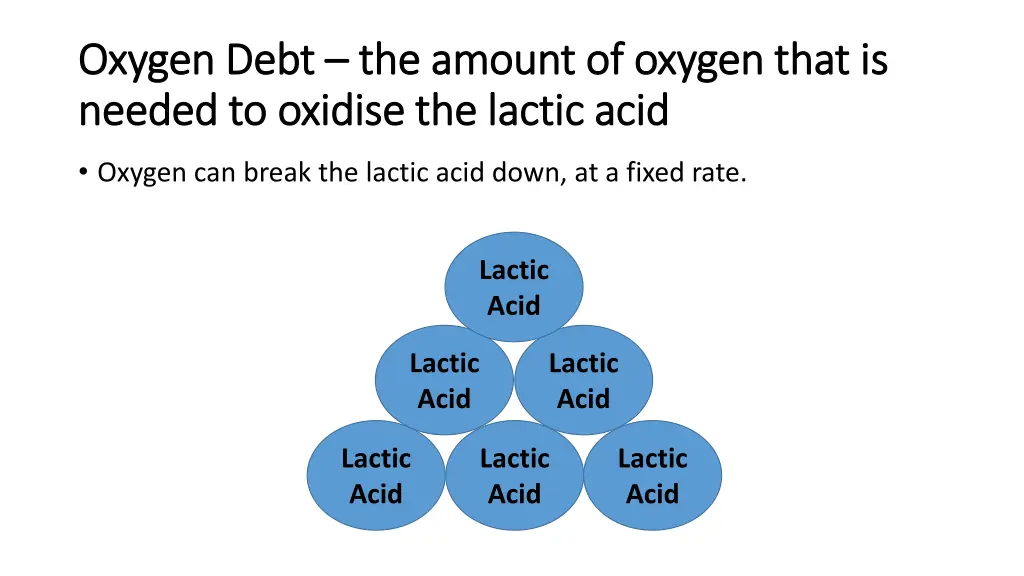 oxygen debt oxygen debt the amount of oxygen that 1