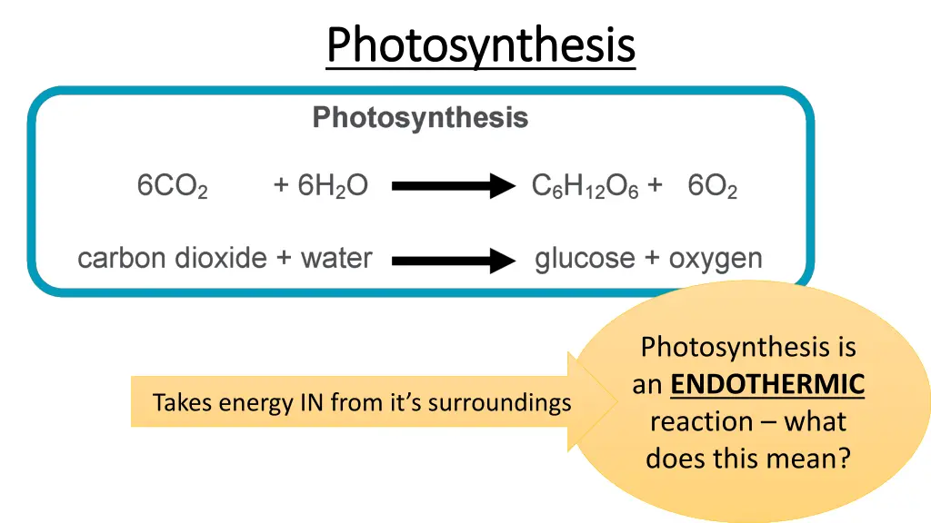 photosynthesis photosynthesis