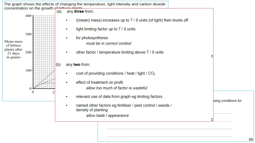 slide19