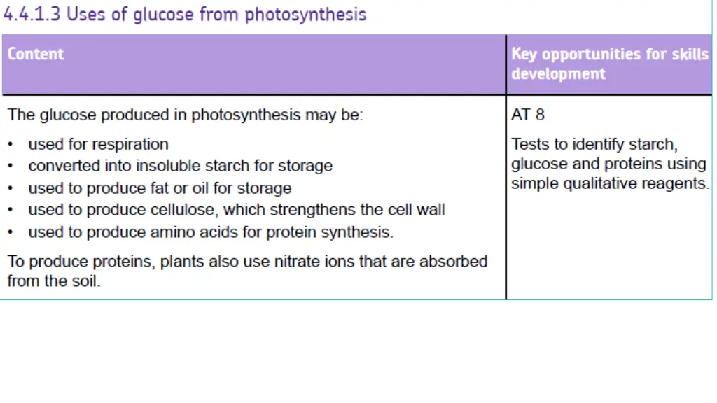 slide20