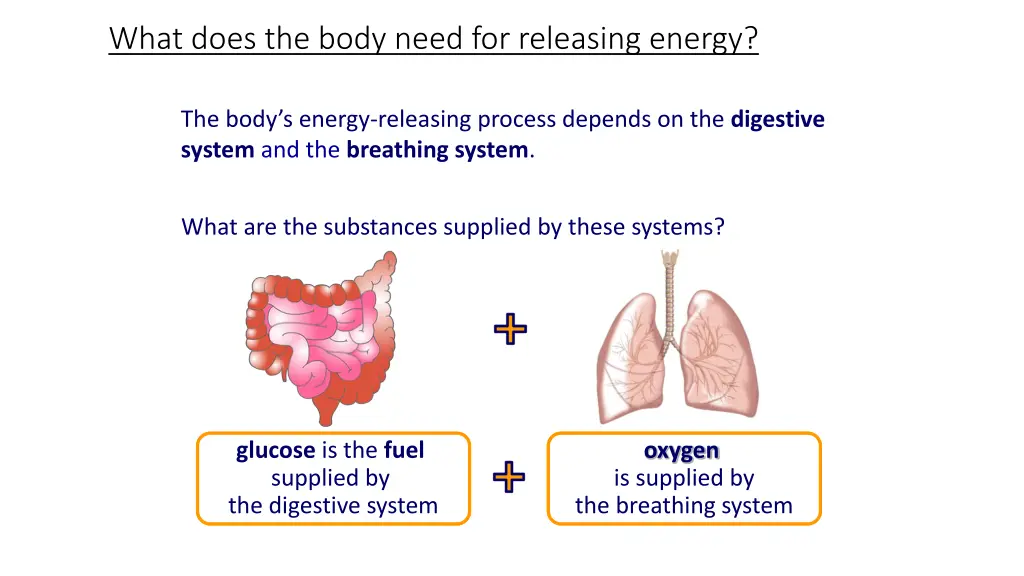 what does the body need for releasing energy