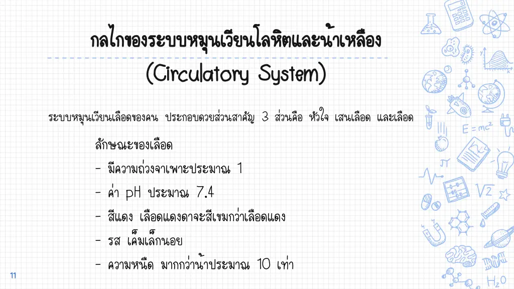 circulatory system circulatory system