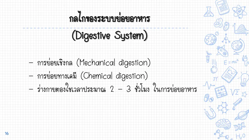 digestive system digestive system