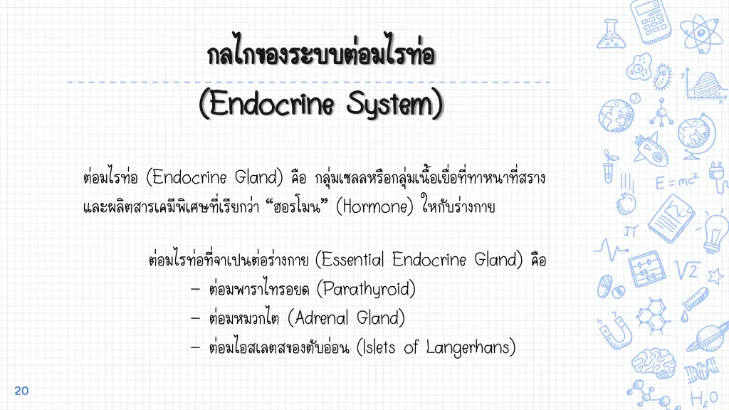 endocrine system endocrine system