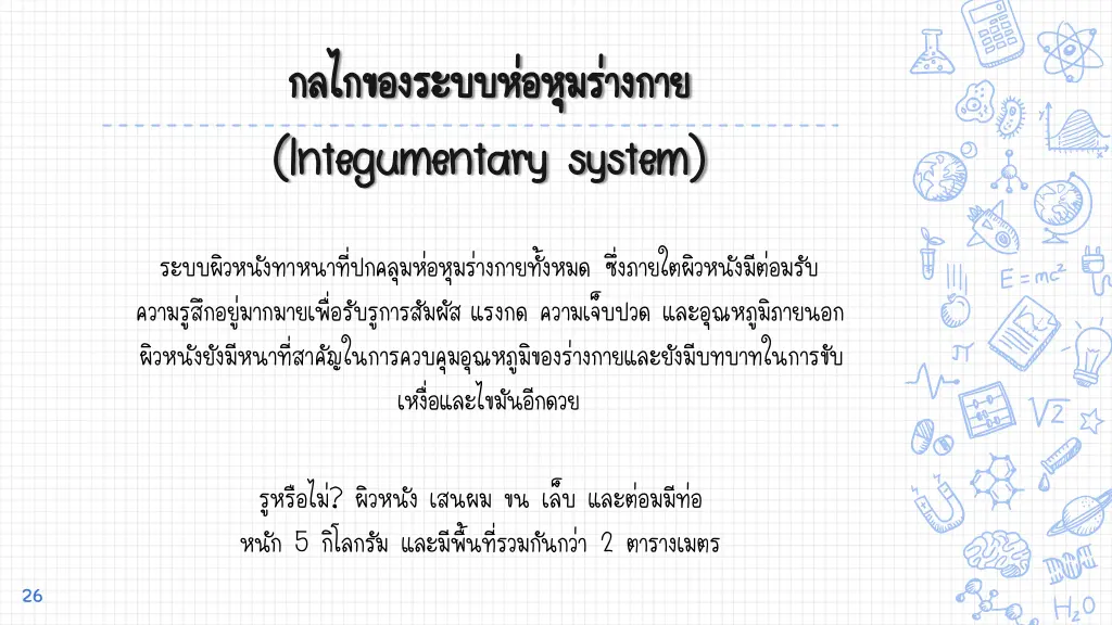 integumentary system integumentary system