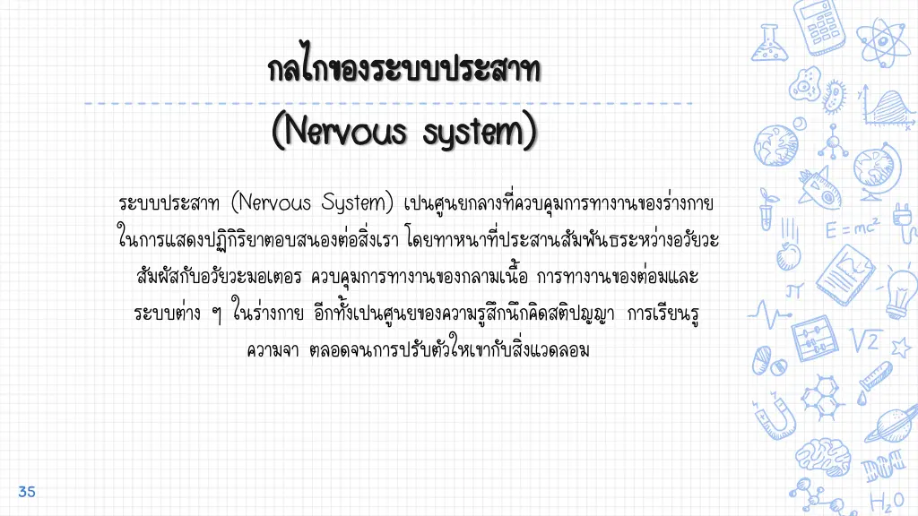 nervous system nervous system