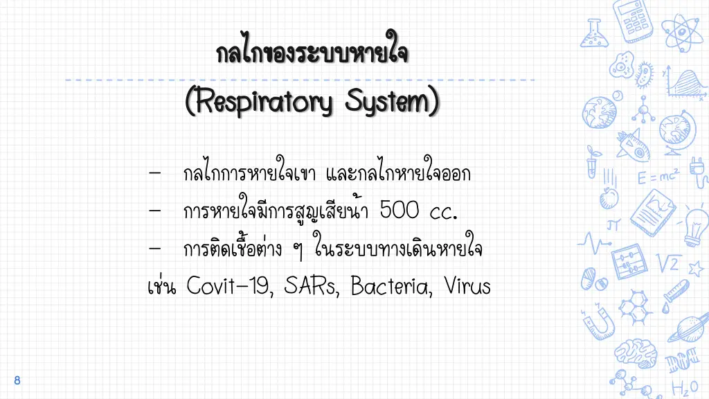 respiratory system respiratory system