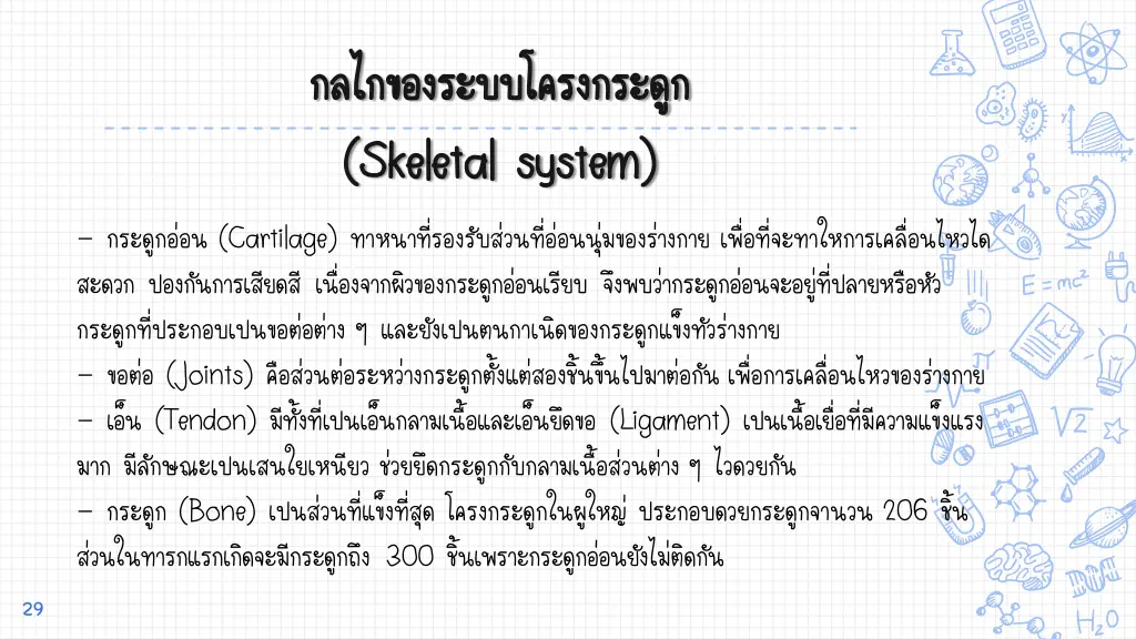 skeletal system skeletal system