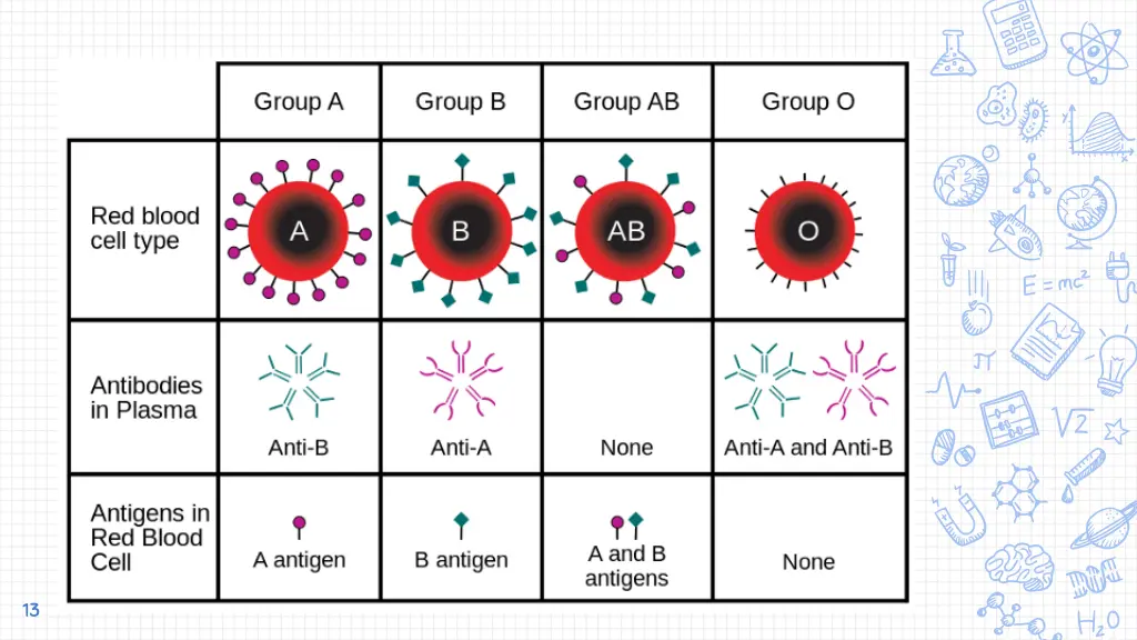 slide13