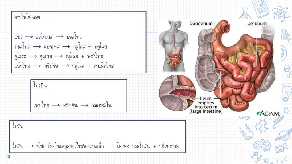 slide18