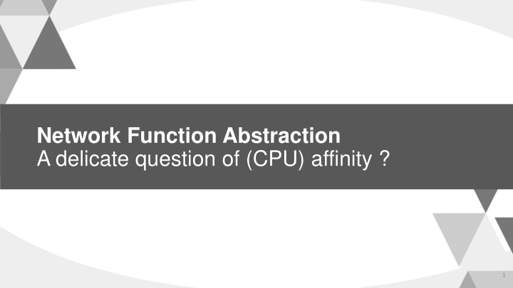 network function abstraction a delicate question