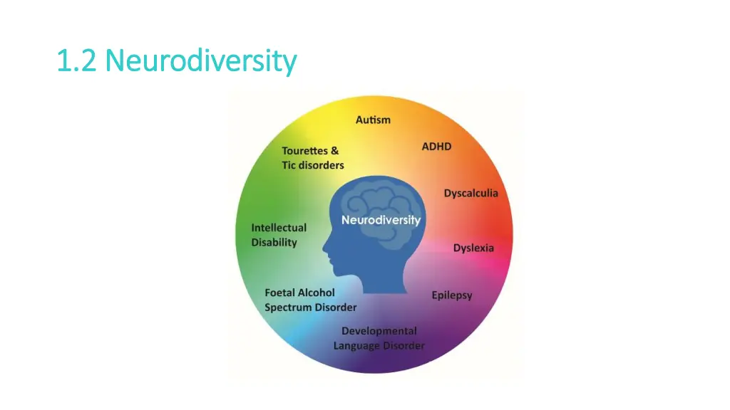 1 2 neurodiversity 1 2 neurodiversity