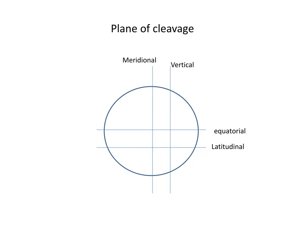 plane of cleavage