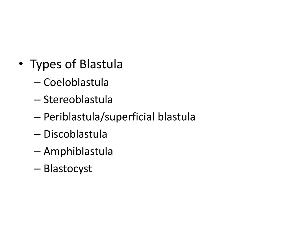 types of blastula coeloblastula stereoblastula