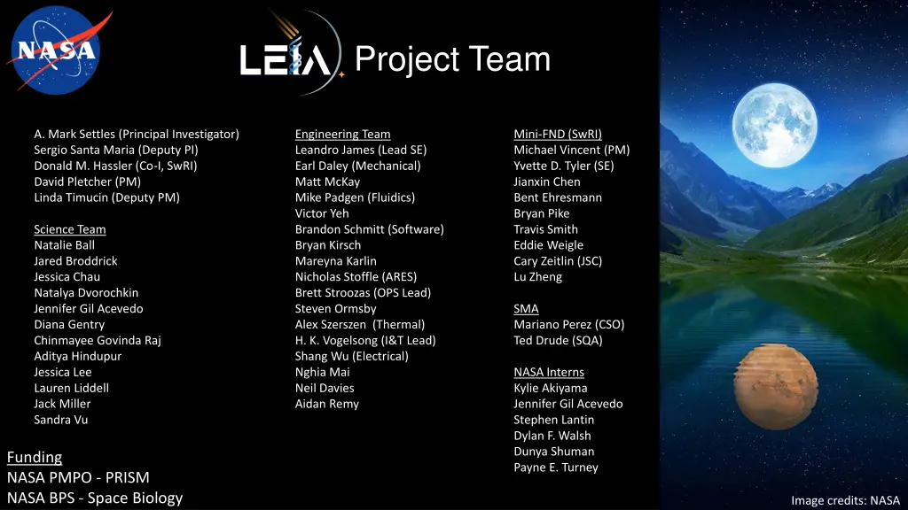 project team