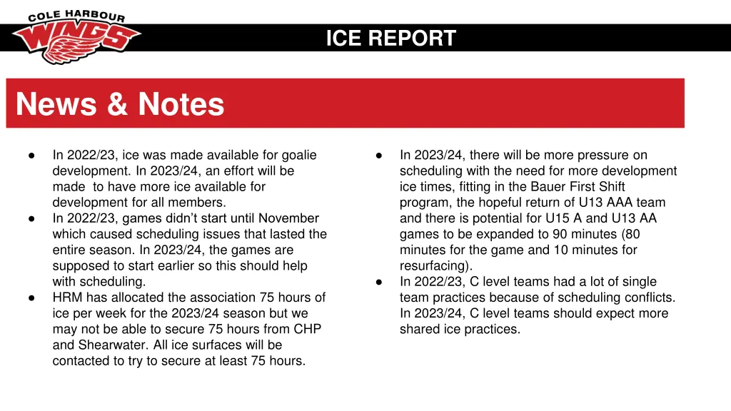 ice report 1