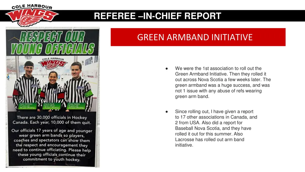 referee in chief report