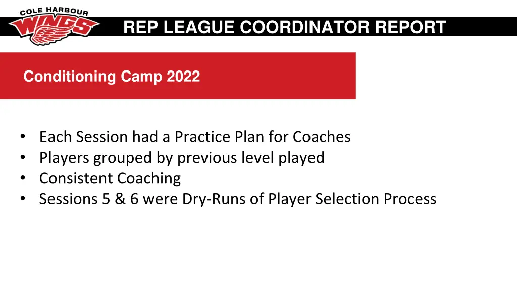 rep league coordinator report 1