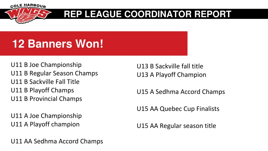 rep league coordinator report 7