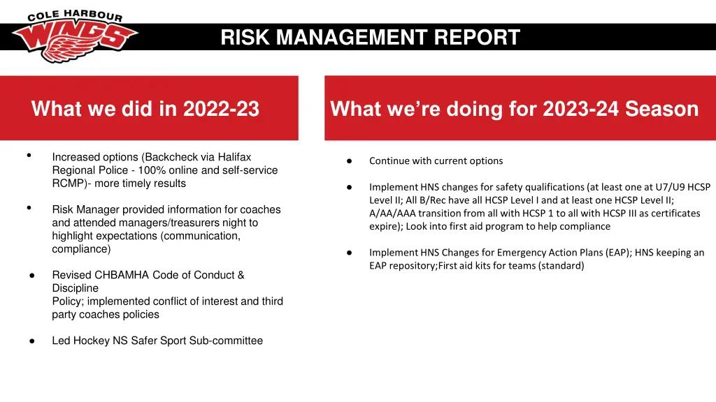 risk management report 1