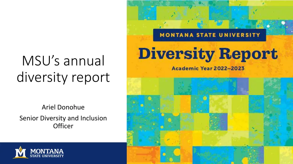 msu s annual diversity report